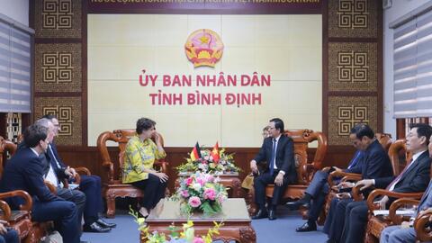 Bình Định đẩy mạnh triển khai dự án điện gió ngoài khơi
