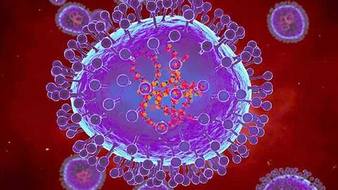 Bộ Y tế thông tin mới nhất về bệnh do virus gây viêm phổi trên người (HMPV) tại Trung Quốc