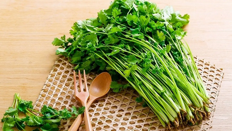 Rau mùi – thảo dược chữa nhiều bệnh