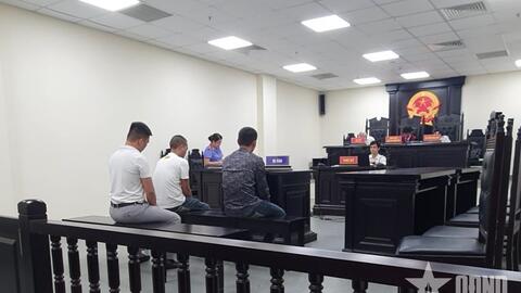 Đối tượng buôn lậu hổ xuyên quốc gia nhận án 7 năm tù