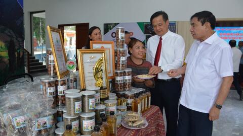 Mắc ca -  hạt giống khát vọng ở Tuần Giáo