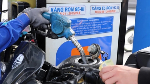 Giá xăng dầu hôm nay 02/07/2025: Giá dầu nhích nhẹ, giá xăng giảm