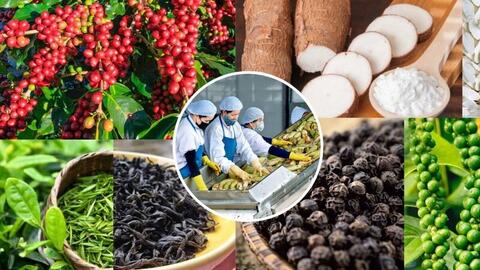 EVFTA hỗ trợ rất lớn cho hàng nông, thủy sản xuất sang Hà Lan