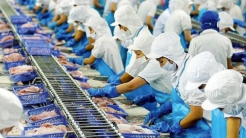 Vĩnh Hoàn tiếp tục bị nhắc nhở vì chậm nộp Báo cáo tài chính