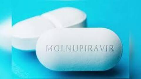 Cấp giấy lưu hành với 3 thuốc chứa Molnupiravir điều trị Covid-19