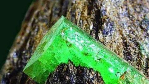 Con sông đắt giá nhất thế giới, bên dưới chất đầy thứ quý giá đắt hơn vàng, kiếm hơn kim cương: Ai nghe cũng ao ước