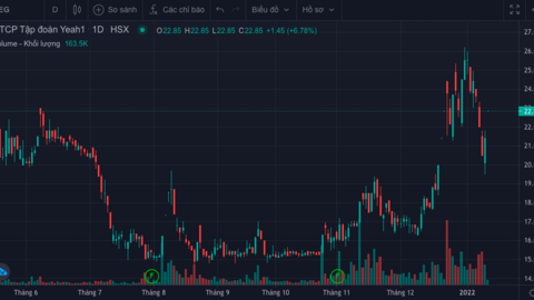 Bà Trần Uyên Phương chi hơn 81 tỷ đồng gom cổ phiếu Yeah1