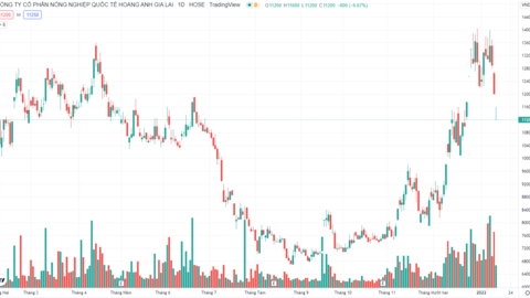 Ngân hàng bán cổ phiếu HNG để thu hồi nợ Hoàng Anh Gia Lai