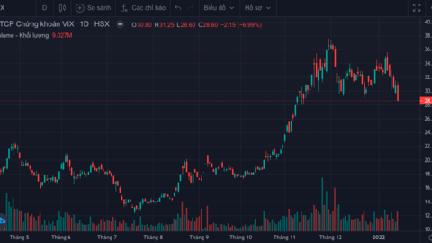 Chứng khoán VIX báo lãi vượt 35% kế hoạch năm 2021