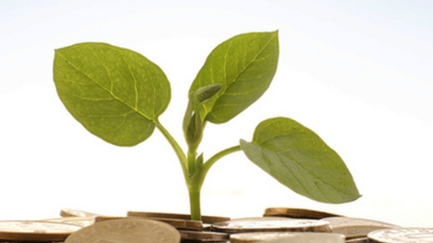 Lịch chốt quyền nhận cổ tức bằng tiền của 5 doanh nghiệp