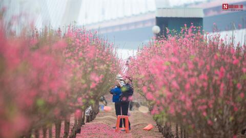 Nỗi niềm của người lao động xa quê: “Tết này con không về”