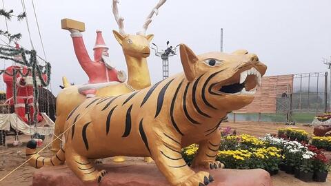 Hình ảnh linh vật “cẩu hổ” gây xôn xao dư luận tại Thanh Hóa