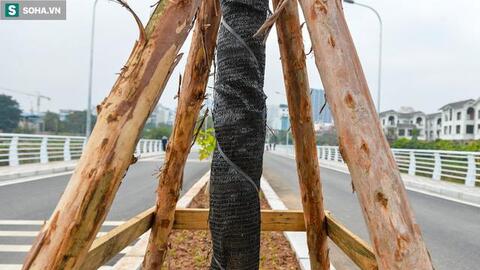 [Ảnh] Cận cảnh tuyến đường chạy qua hồ sen đẹp nhất nhì Hà Nội