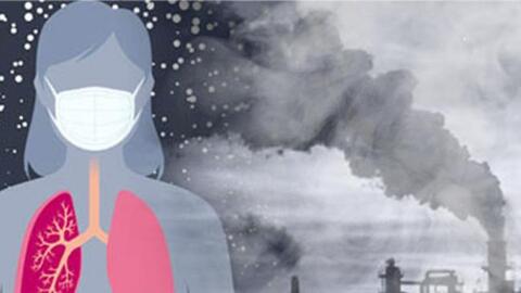 Khi chất lượng không khí giảm, ô nhiễm ngày càng tăng, nếu làm được 7 việc sẽ bảo vệ hệ hô hấp tốt nhất, không lo bị ung thư phổi