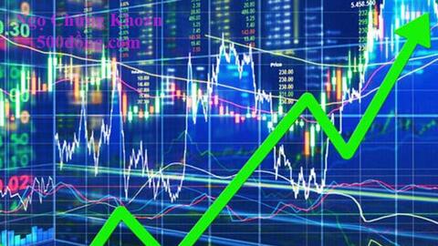 GVR, EVF, VNE, VIB, NSG, HAH, HNG, VST, LBM, CTB, DOP: Thông tin giao dịch lượng lớn cổ phiếu