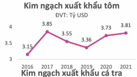 EVS dự phóng chỉ số VN-Index có thể "rơi" về 1.424 điểm nếu mất mốc 1.470