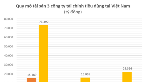 Từng thống trị mảng tài chính tiêu dùng từ chục năm trước, Home Credit Việt Nam kinh doanh ra sao trước khả năng đổi chủ?