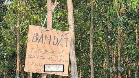 Bình Phước cấm tự mở đường, phân lô tách thửa sau lùm xùm sốt đất ảo