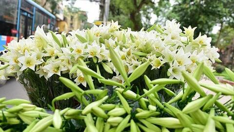 SSI Research chỉ ra 5 nhóm ngành có tốc độ tăng trưởng cao và 9 cổ phiếu có thể "xuống tiền" tháng 4