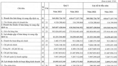 Phân bón Miền Nam (SFG) báo lãi quý 1 cao gấp 11 lần cùng kỳ, vượt 13% kế hoạch cả năm chỉ sau 3 tháng