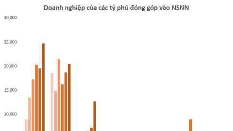 Doanh nghiệp của các tỷ phú Việt đóng góp bao nhiêu vào ngân sách?