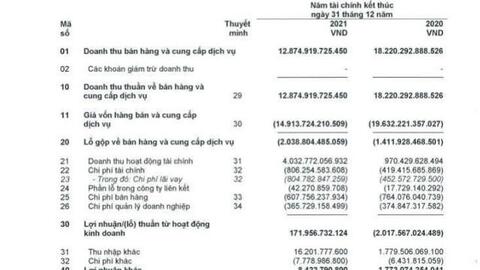 Vietjet Air: Lợi nhuận sau thuế 2021 sau kiểm toán giảm 20 tỷ đồng, doanh thu vận chuyển quý 1/2022 đã chiếm 65% tổng doanh thu