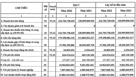 Phân lân Ninh Bình (NFC) hoàn thành 73% mục tiêu lãi cả năm chỉ trong quý 1