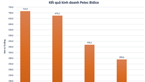 Một cổ phiếu tăng hơn 51% sau một tuần