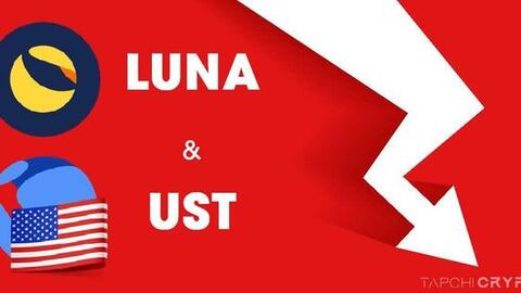 Đôi điều cần biết về sự sụp đổ của tiền mã hóa Luna và Terra