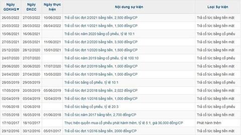 Doanh nghiệp kinh doanh bột sắn trên sàn chứng khoán thu hàng nghìn tỷ mỗi năm, cổ tức tiền mặt “đều như vắt tranh”