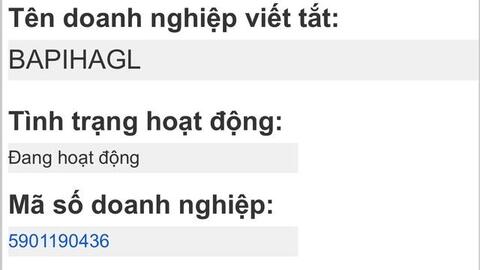 HAGL đã lập công ty riêng cho thương hiệu Heo ăn chuối BAPI: Bầu Đức đang tăng tốc hành trình cung cấp dòng heo sạch với doanh thu mục tiêu 10.000 tỷ