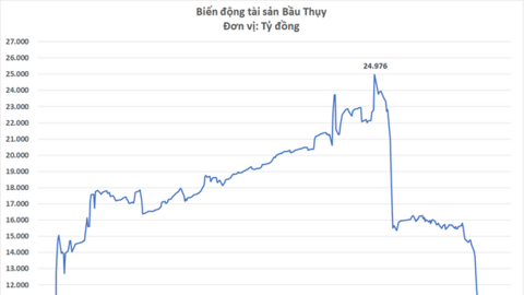 Bầu Thụy muốn thoái toàn bộ vốn tại Thaiholdings, có thể thu về gần 5.000 tỷ đồng