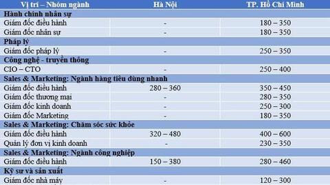 Những vị trí có mức lương trên 300 triệu đồng tại Việt Nam