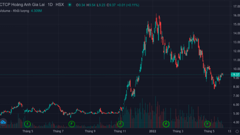 Thoái xong vốn HAGL Agrico, bầu Đức còn lại gì?
