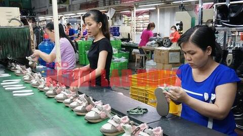 Ồ ạt rút BHXH một lần: Đừng để người lao động khủng hoảng niềm tin