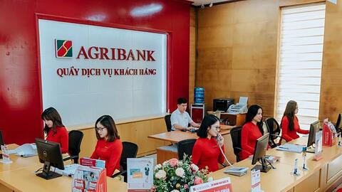 Agribank, Vietcombank bán đấu giá nhiều bất động sản tại TP HCM