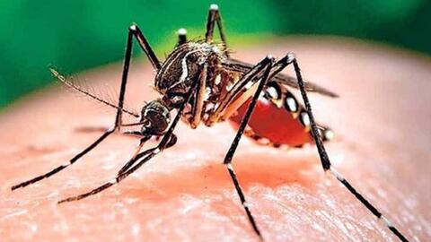 Ghi nhận hơn 124.000 ca mắc, 40 người tử vong do sốt xuất huyết