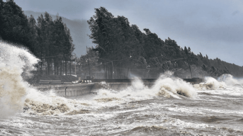 Biển Đông sắp đón bão