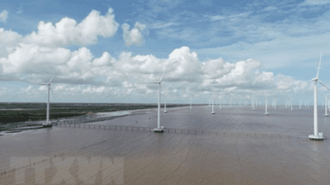 Ra mắt nền tảng thông tin dùng chung trong chuyển đổi năng lượng ở Đông Nam Á