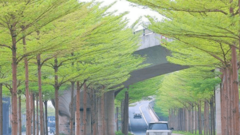 Hà Nội đưa Gia Lâm, Đông Anh lên quận vào năm 2023