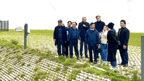 Nhà đầu tư Hà Lan nghiên cứu đầu tư điện gió trên biển tại Quảng Bình