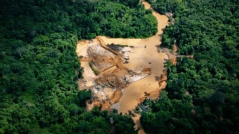 “Con đường dẫn đến sự hỗn loạn” ở Amazon – Nơi nạn đào vàng trái phép tạo ra thảm kịch nhân đạo khủng khiếp