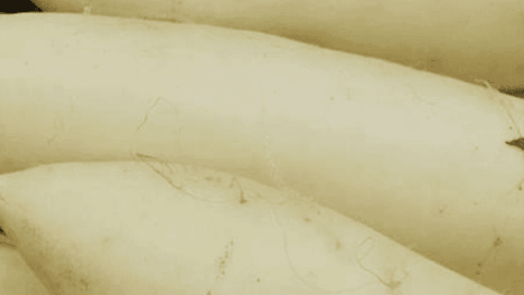 2 loại củ là "sát thủ của ung thư", vị thì ngon giá lại rẻ bèo, ăn một ít mỗi ngày sẽ giúp bạn tránh xa căn bệnh này