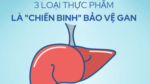 3 thần dược và 5 phương pháp dưỡng gan