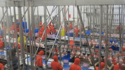 Nhiều thách thức đối với cộng đồng doanh nghiệp trong năm 2023