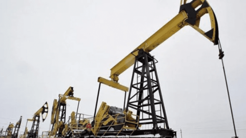 Goldman Sachs: Giá dầu có thể vượt 100 USD trong năm nay