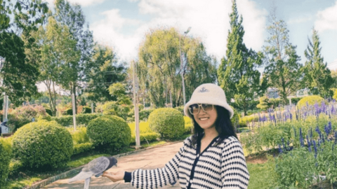 Dân văn phòng xin nghỉ phép hai ngày để bán cá vàng ngày 23 tháng Chạp