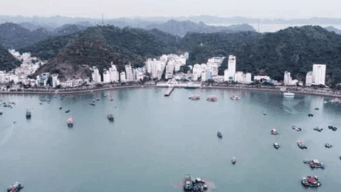 Hai lần đấu giá bất thành tài sản làm dự án du lịch cao cấp ở Cát Bà