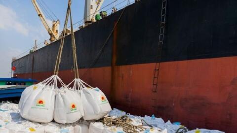 Xuất khẩu gạo: Tận dụng lợi thế để bứt phá