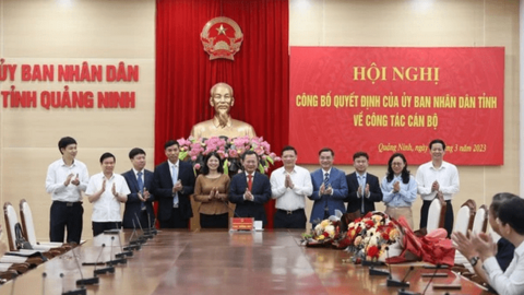 Quảng Ninh bổ nhiệm loạt cán bộ chủ chốt